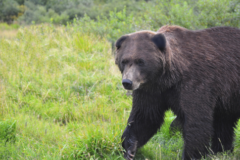 Melanie Heinrich Images